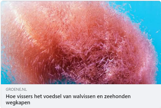 Industriële superroofdieren – De Groene Amsterdammer